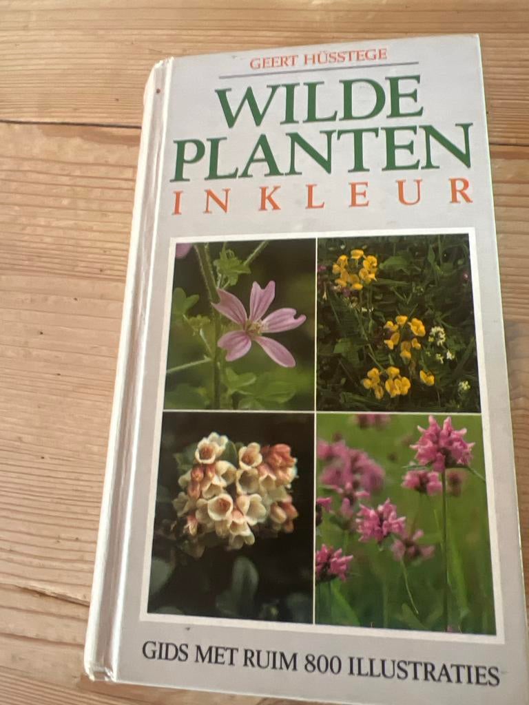 Wilde Planten in Kleur - Geert Hüsstege, Ophalen of Verzenden, Gelezen, Bloemen, Planten en Bomen