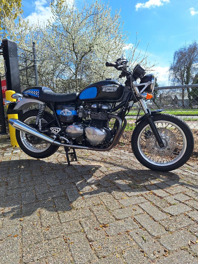 Triumph Thruxton 900 (carb.) 2006