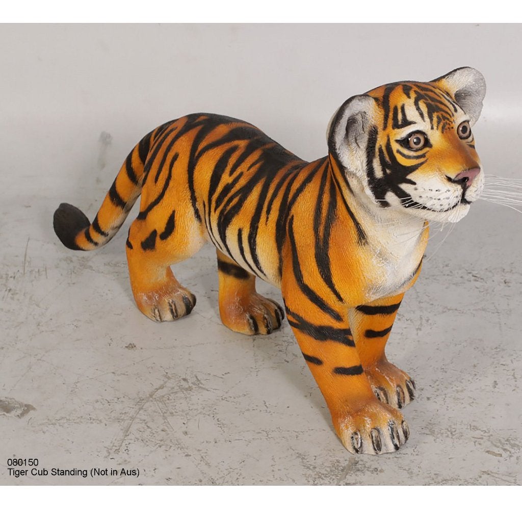 Tiger Cub Standing – Tijger beeld Lengte 82 cm, Ophalen, Nieuw, Overige soorten, Beeldje of Figuurtje