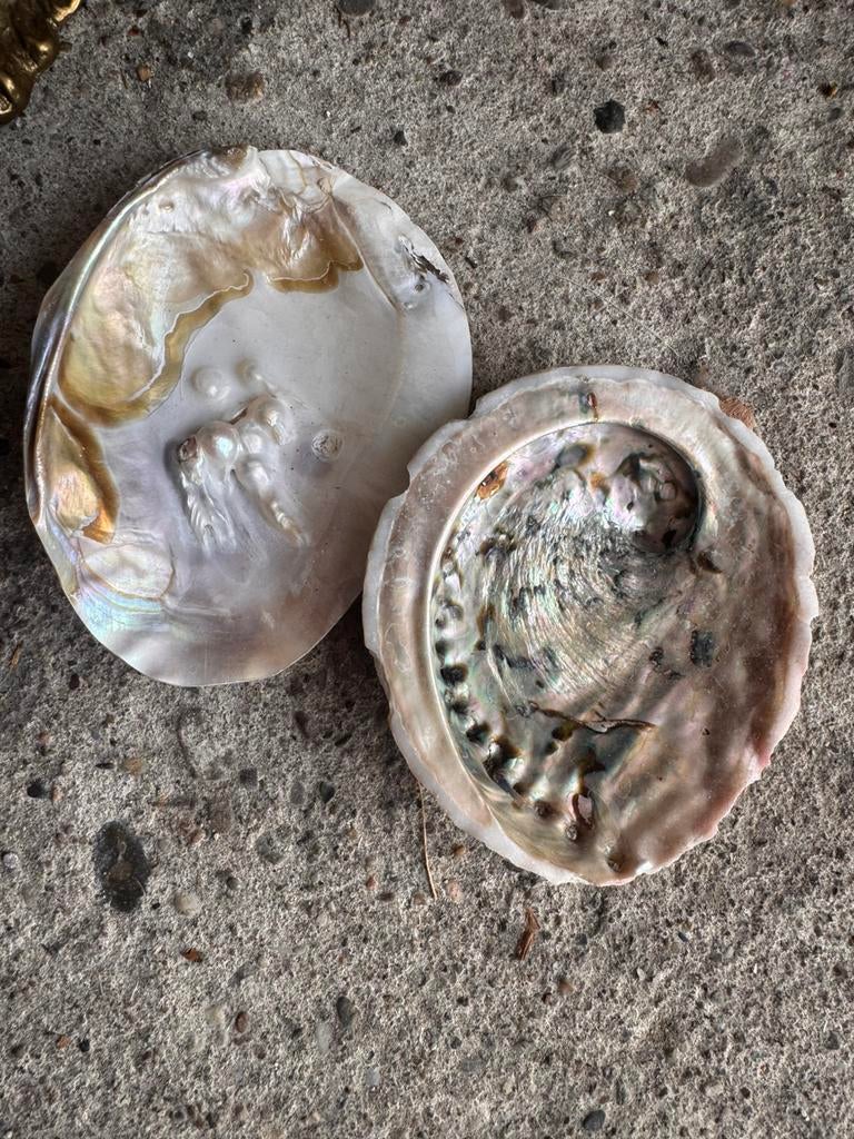Schelpen parelmoer, Ophalen of Verzenden, Schelp(en)