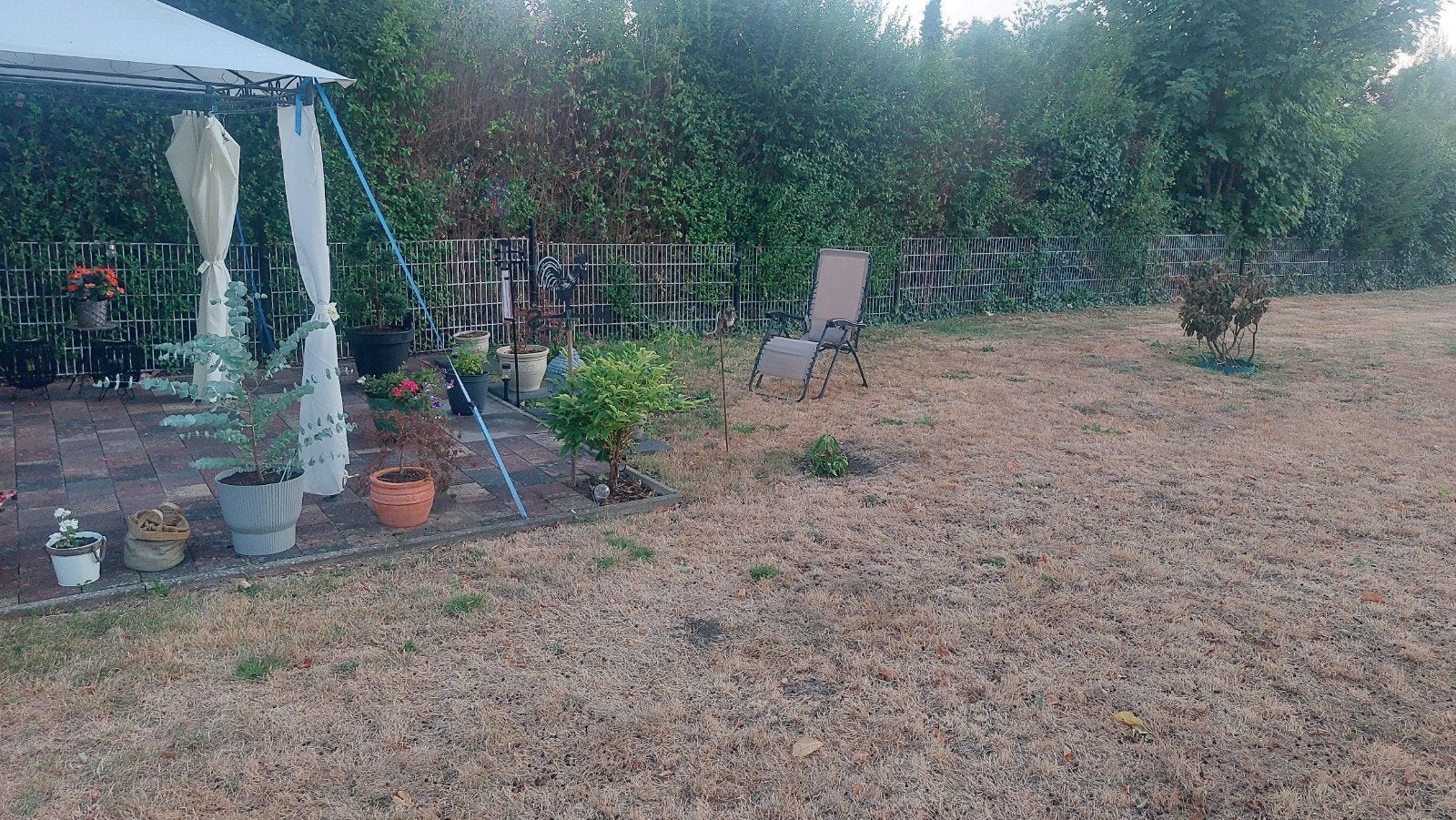 50 meter degelijke afrastering - Gebruikt, Ophalen of Verzenden, Gebruikt, IJzer, Gaashekwerk