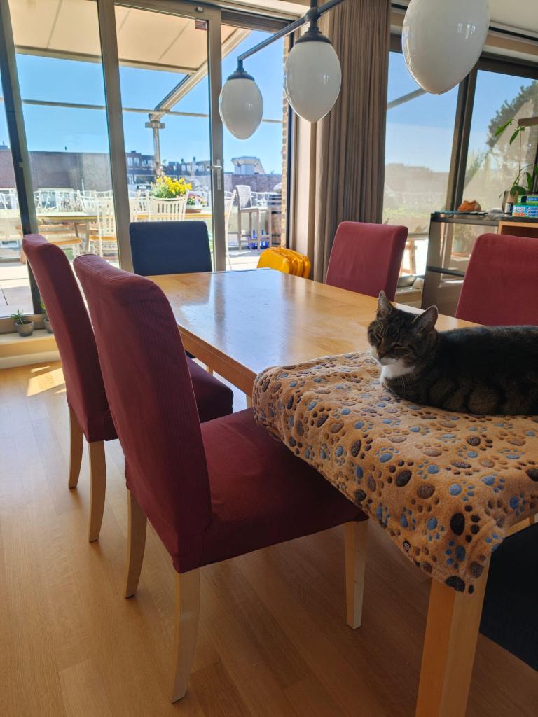 Eettafel IKEA met 6 stoelen Hendriksdal IKEA, Ophalen, Overige materialen, Gebruikt, 50 tot 100 cm