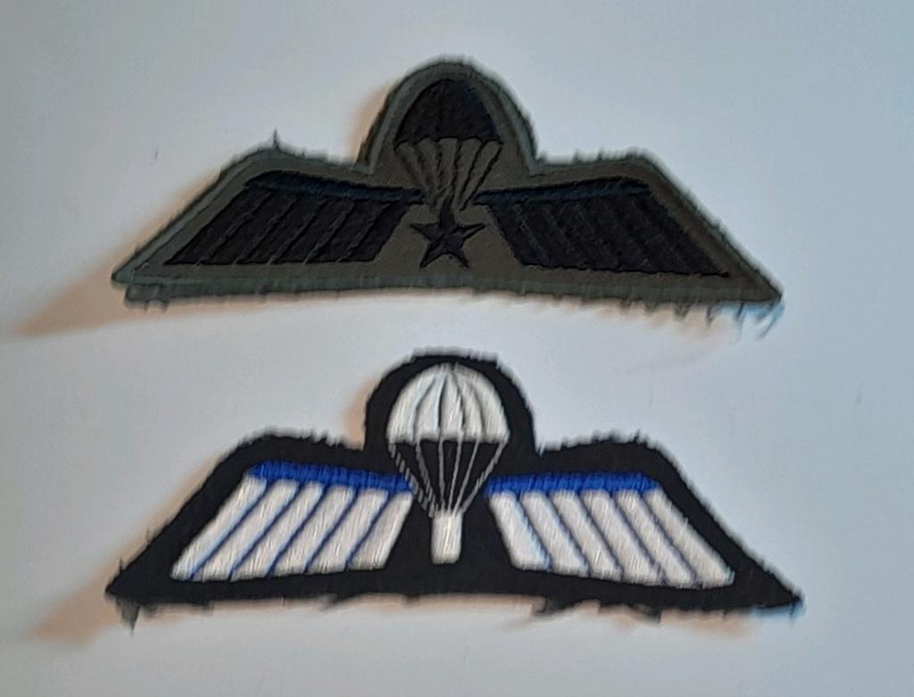 Twee verschillende wings, Ophalen of Verzenden, Landmacht, Nederland, Embleem of Badge