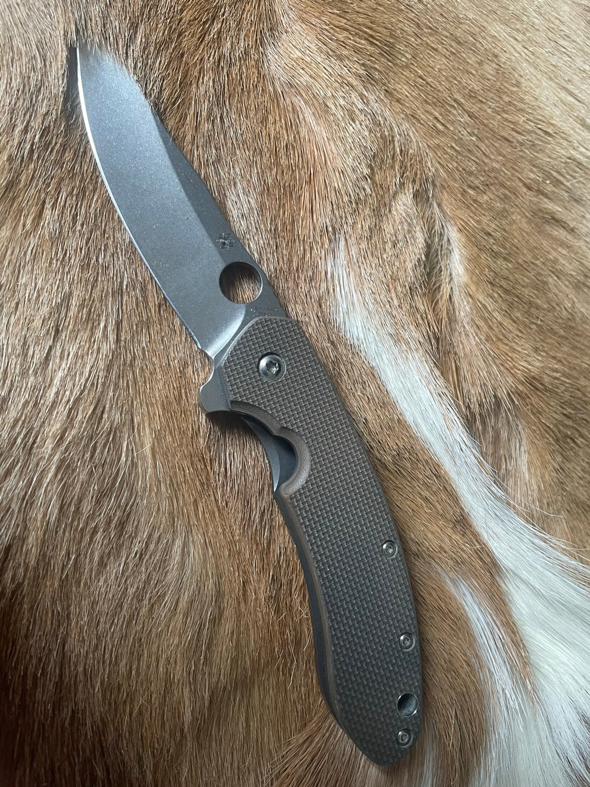 Spyderco Southard, Ophalen of Verzenden, Landmacht, Nederland, Mes of Dolk