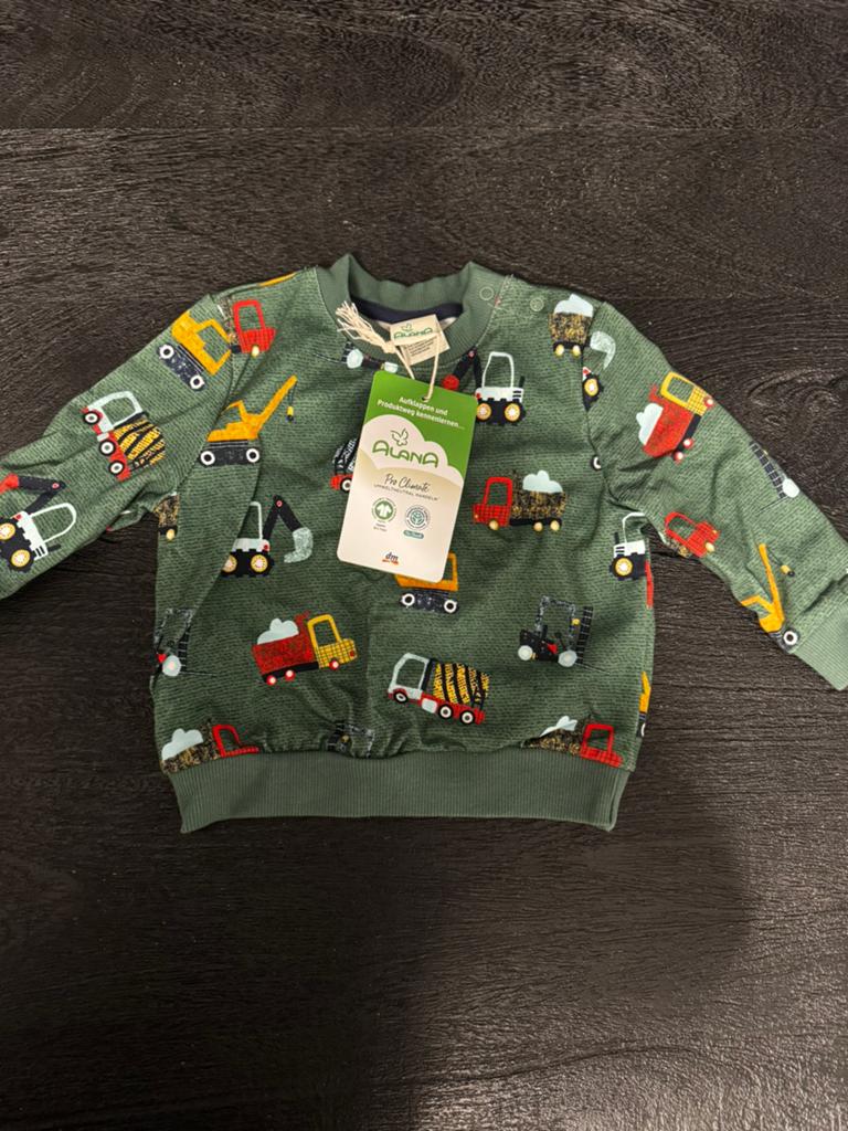 Truitje maat 74, Kinderen en Baby's, Babykleding | Maat 74, Ophalen of Verzenden, Zo goed als nieuw, Meisje, Truitje of Vestje