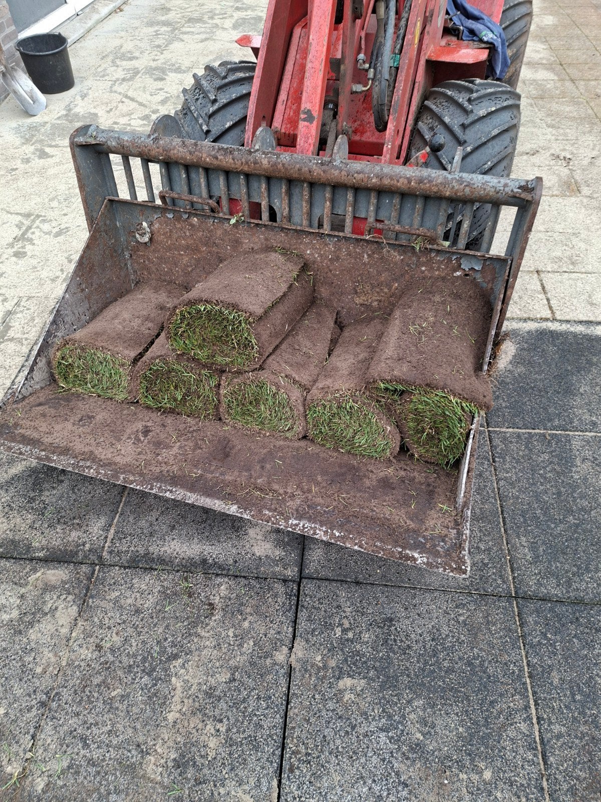 Verse Graszoden te Koop - Direct Leverbaar, Ophalen of Verzenden, Nieuw, Minder dan 10 m², Gras