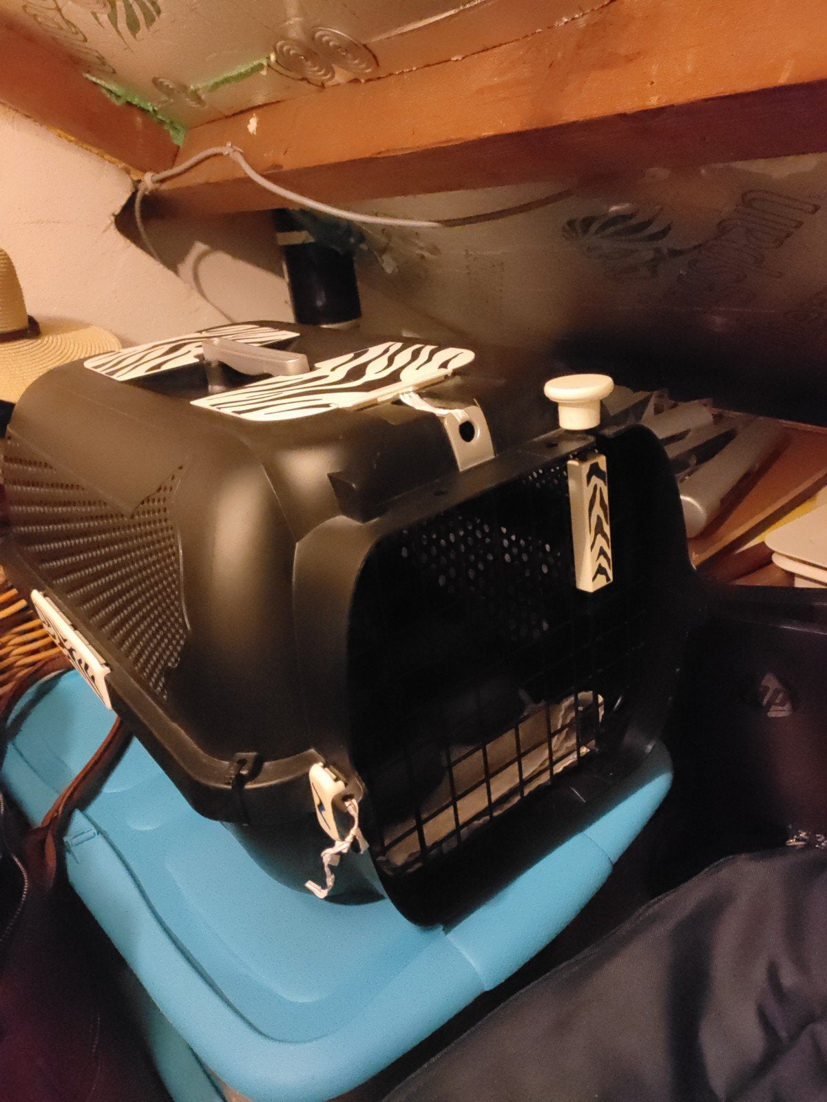 katten vervoers box / transport box, Ophalen, Zo goed als nieuw