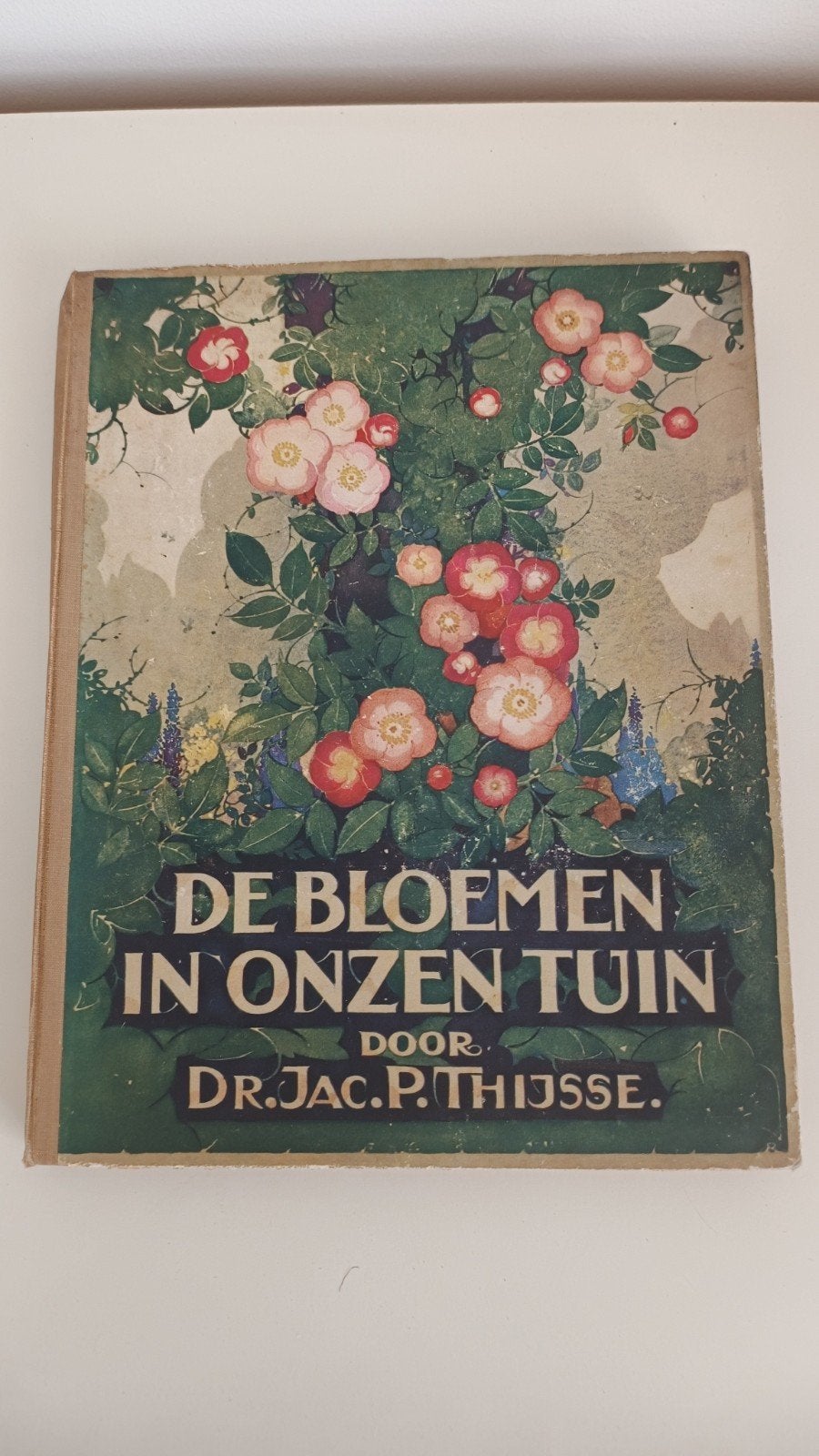 De bloemen in onzen tuin Thijsse Verkade plaatjesalbum 1926, Boeken, Ophalen of Verzenden, Jac. P. Thijsse, Plaatjesalbum