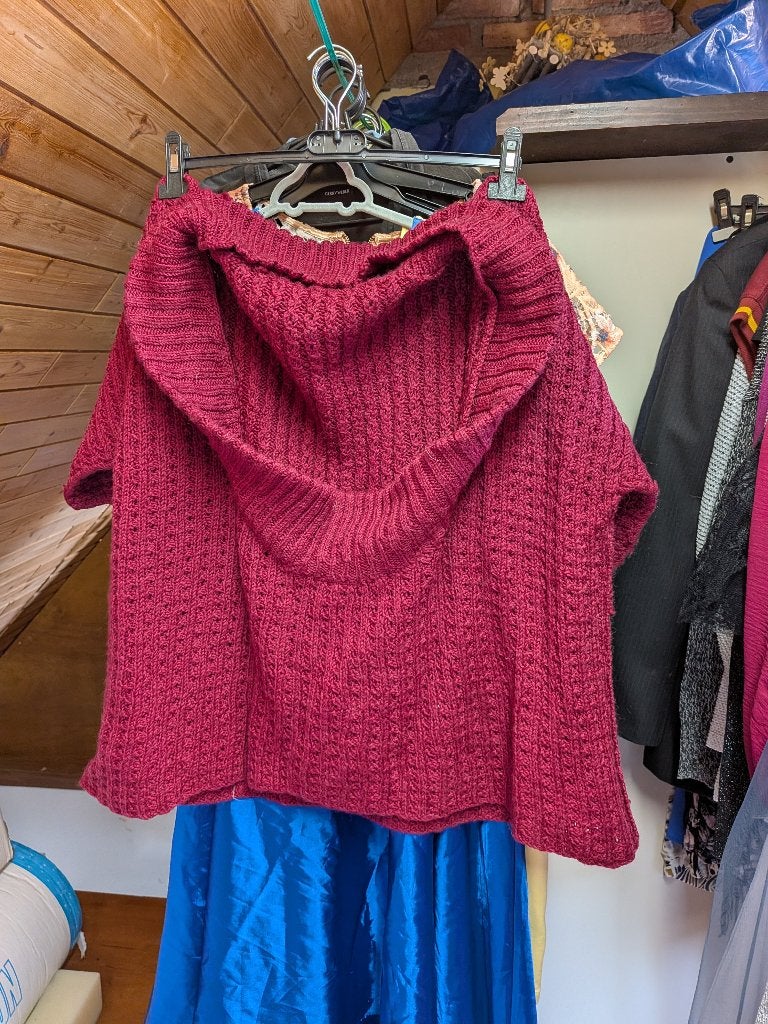 Trui maat l, Ophalen of Verzenden, Zo goed als nieuw, Maat 42/44 (L), Rood