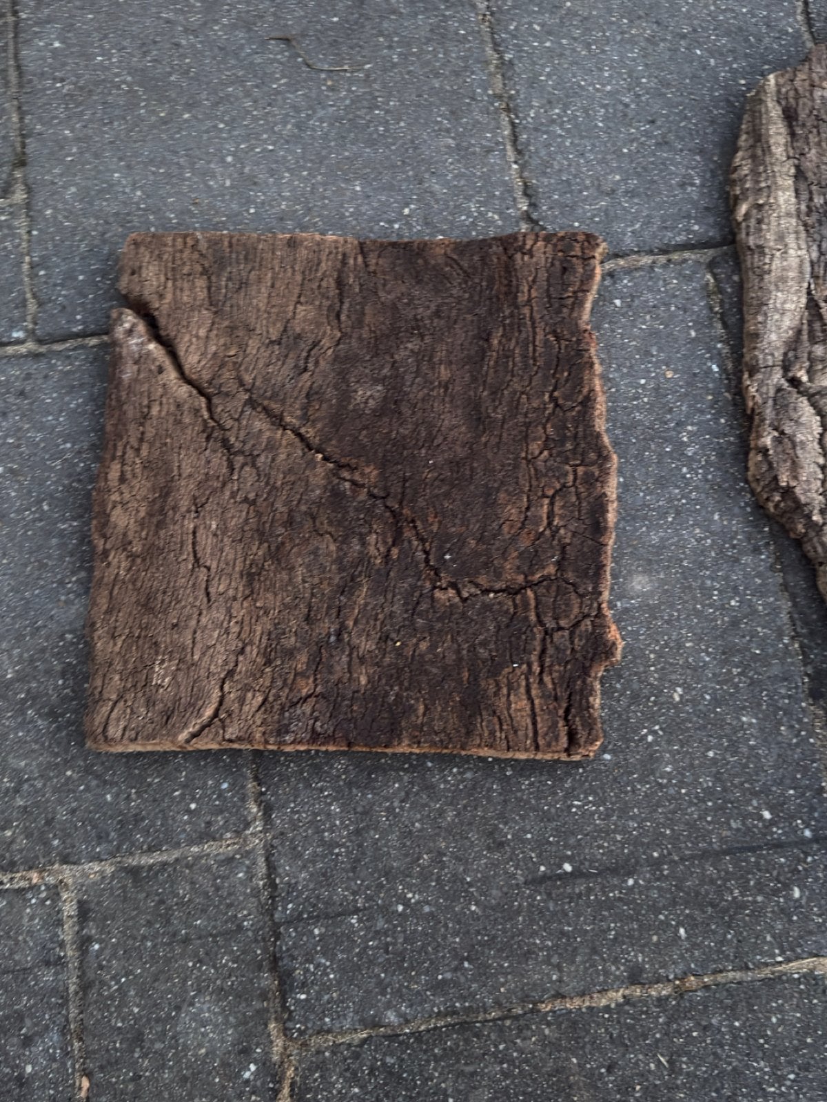 Flat cork, Ophalen of Verzenden