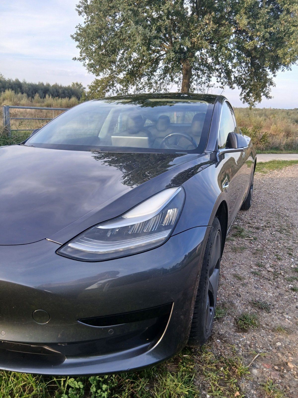 Foto 5 van Tesla Model 3 2019 Grijs