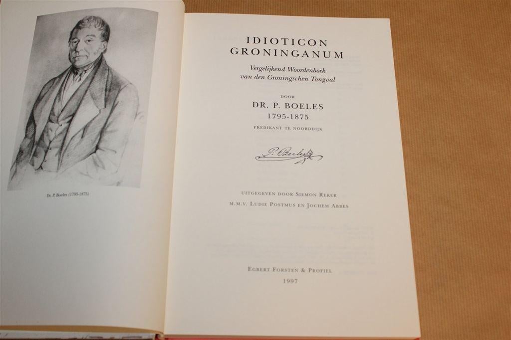 Idioticon Groninganum [1997] — Woordenboek Gronings Dialect, Ophalen of Verzenden, Zo goed als nieuw