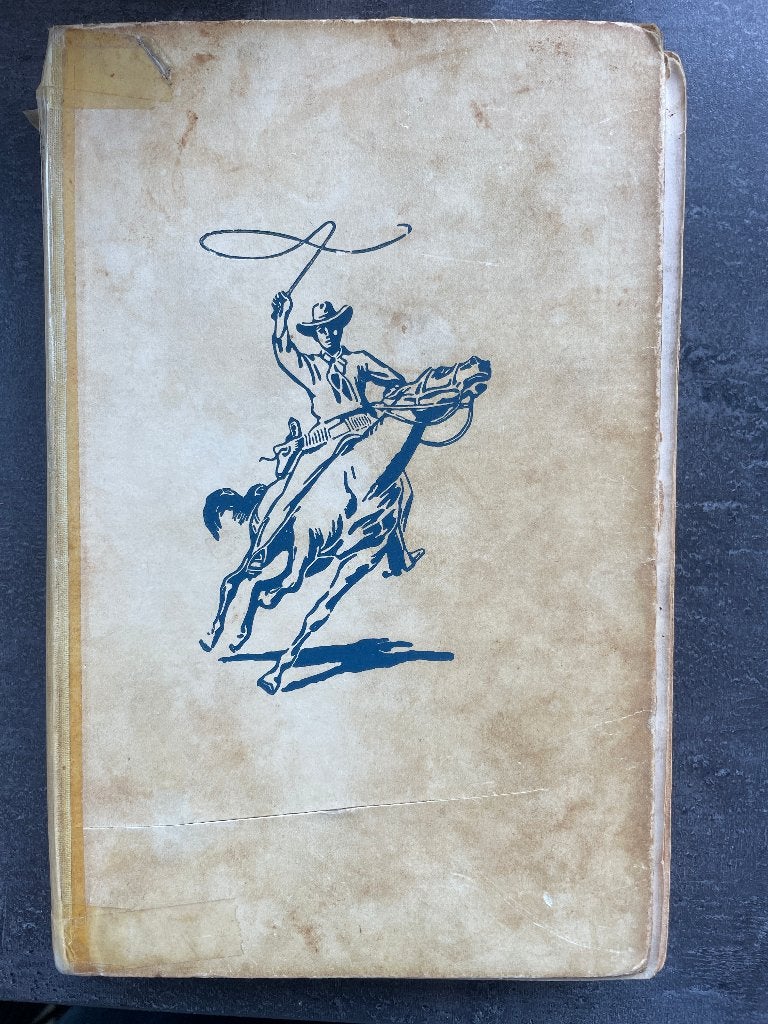 Arendsoog; Het raadsel van de Mosquitovallei van J. Nowee, Boeken, Ophalen, Gelezen, J. Nowee
