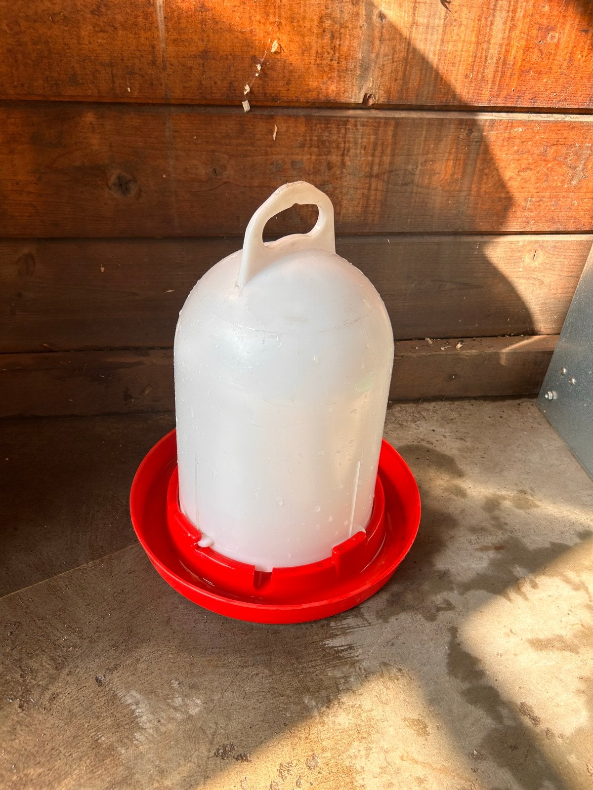 Waterbak voor kippen, Ophalen, Drinken en Voederen