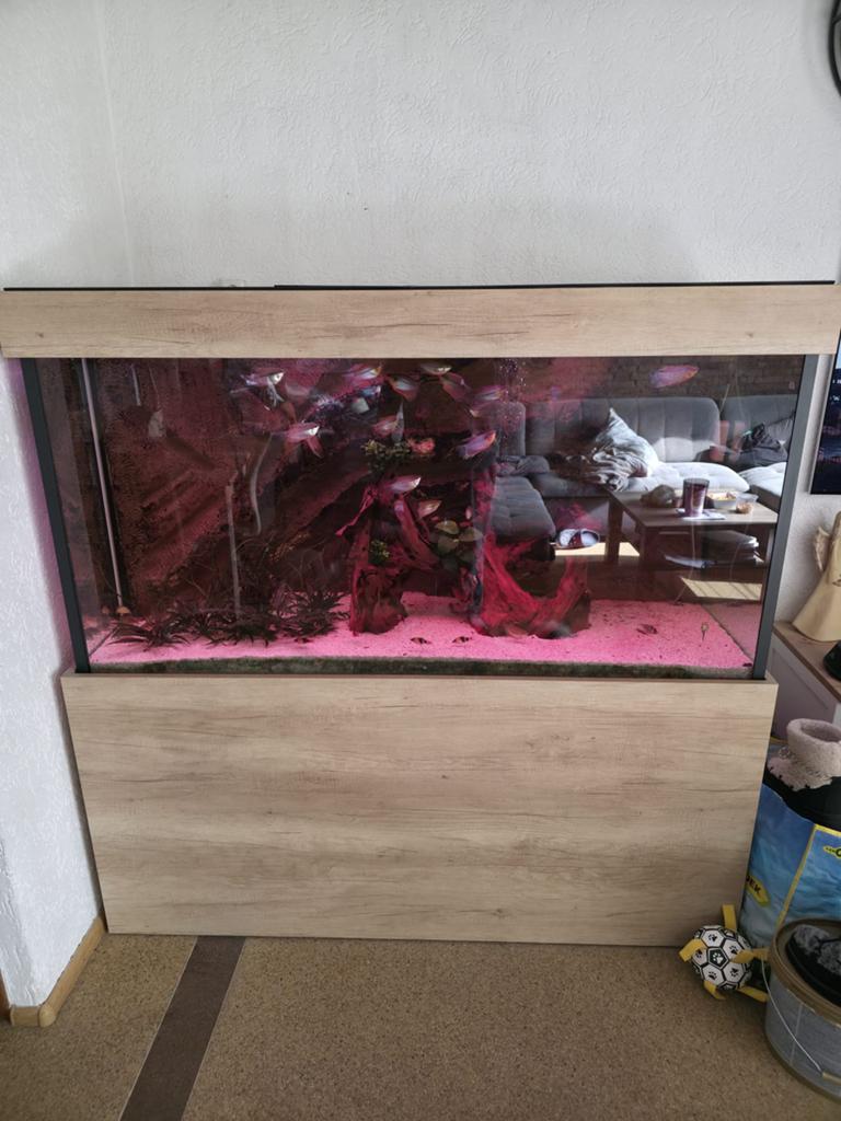Custom aquarium 150x60x80 met bioloog en achterwand, Ophalen, Leeg aquarium