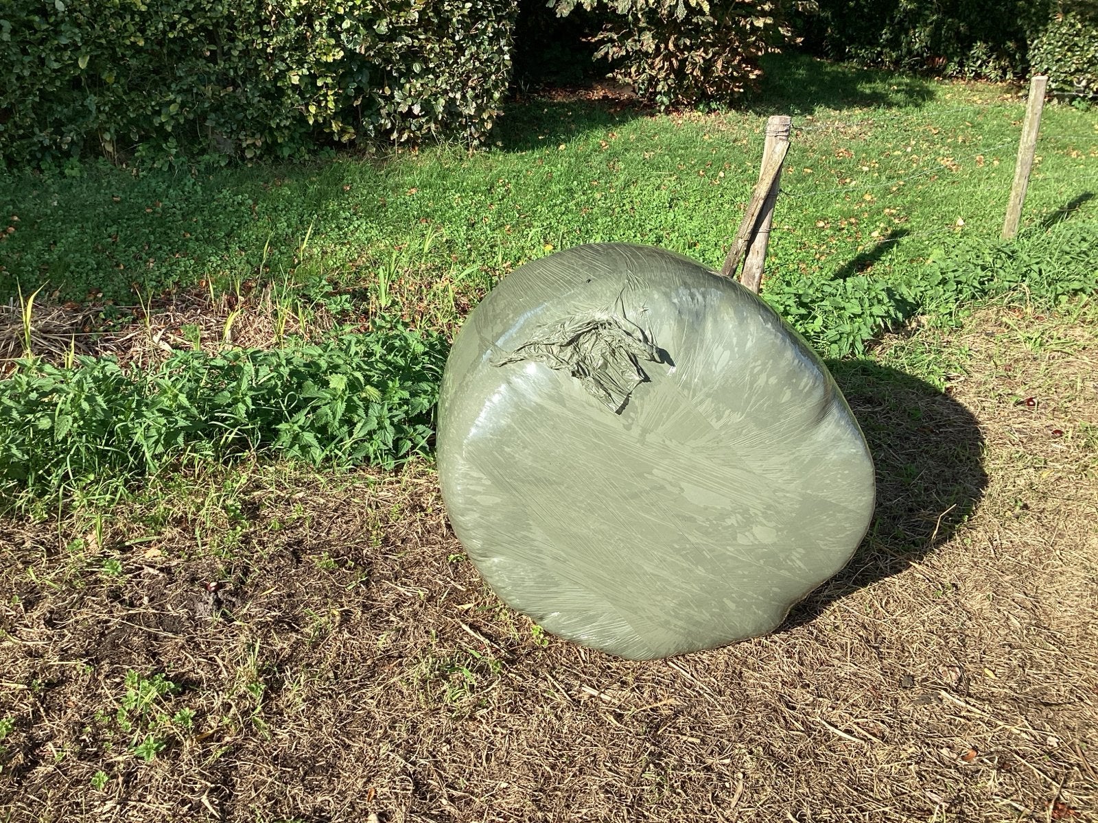 Kuilbalen 2e snee - midi - 15 stuks., Dieren en Toebehoren, Ophalen of Verzenden