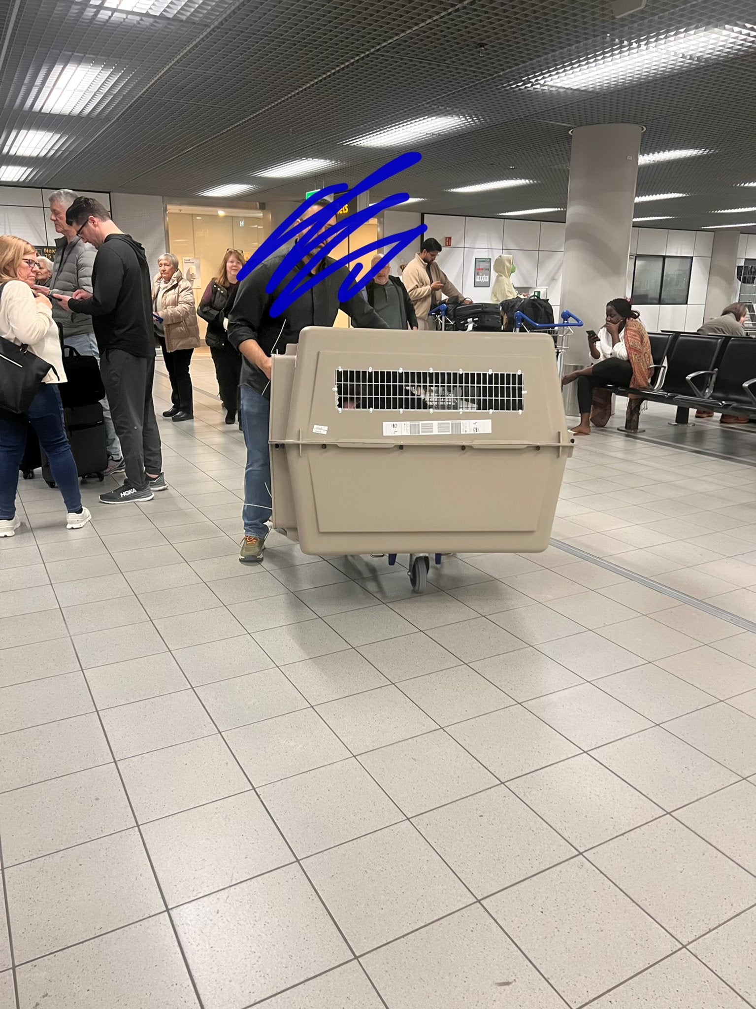 Extra large dog kennel for travel, Ophalen