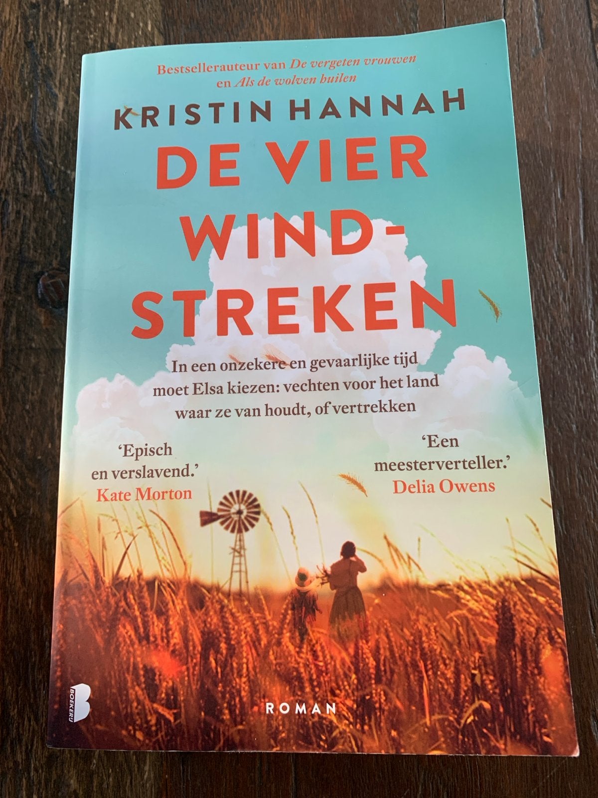 De Vier Windstreken - Kristin Hannah (Roman), Ophalen of Verzenden, Zo goed als nieuw, Nederland