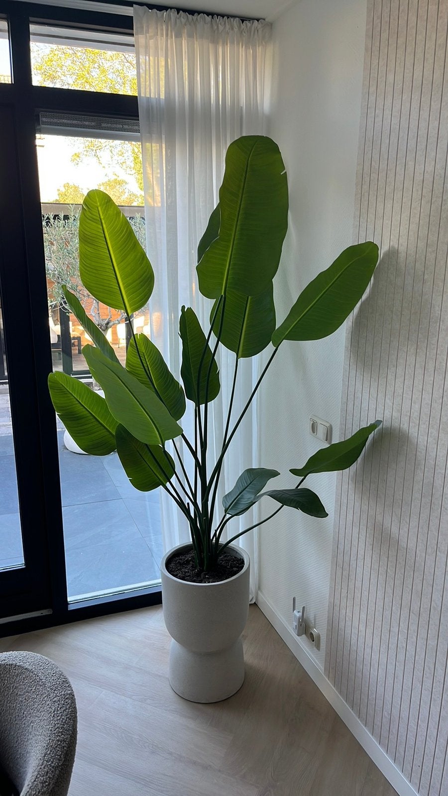 Kunstplant Strelitzia, Ophalen, Halfschaduw, 150 tot 200 cm