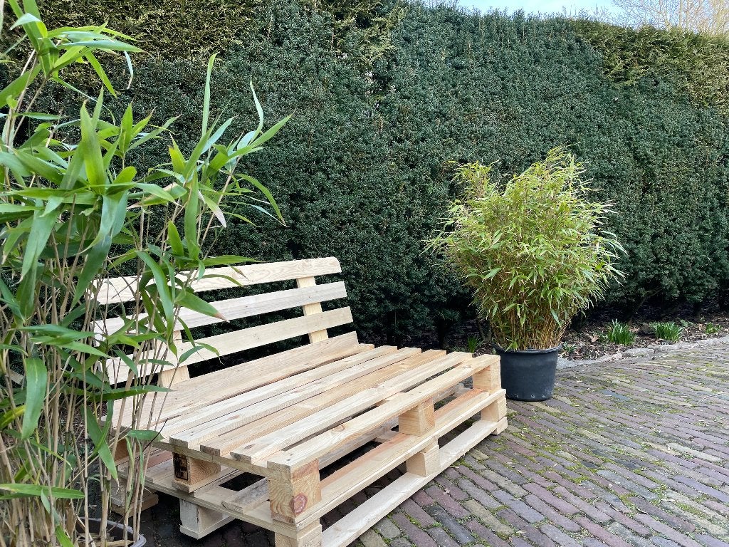 palletbank, Doe-het-zelf en Verbouw, Hout en Planken, Ophalen, Minder dan 25 mm, Zo goed als nieuw, Minder dan 200 cm