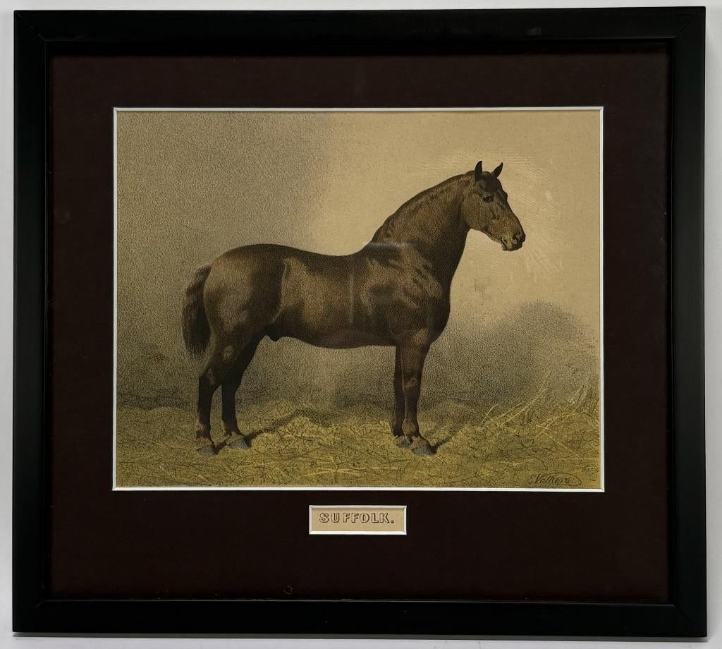 84. Kleurenlitho, Emil Volkers - Suffolk paard, 19e eeuw, Ophalen of Verzenden