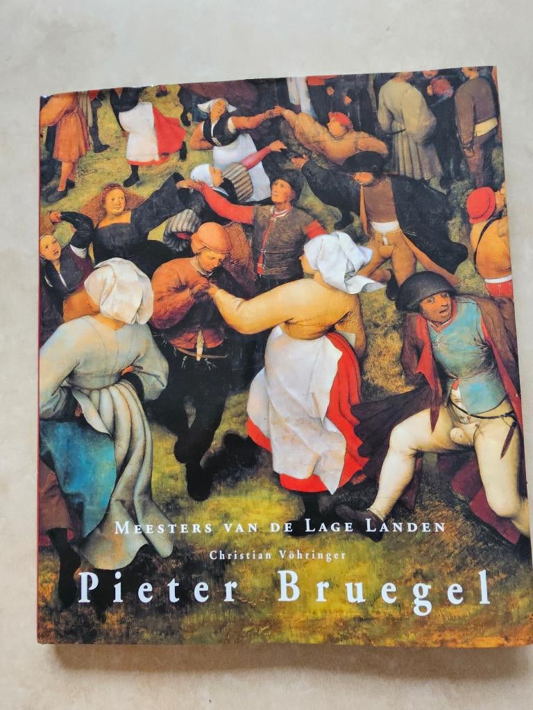 Boek : Pieter Bruegel meesters van de lage landen z.g.a.n., Ophalen of Verzenden, Zo goed als nieuw