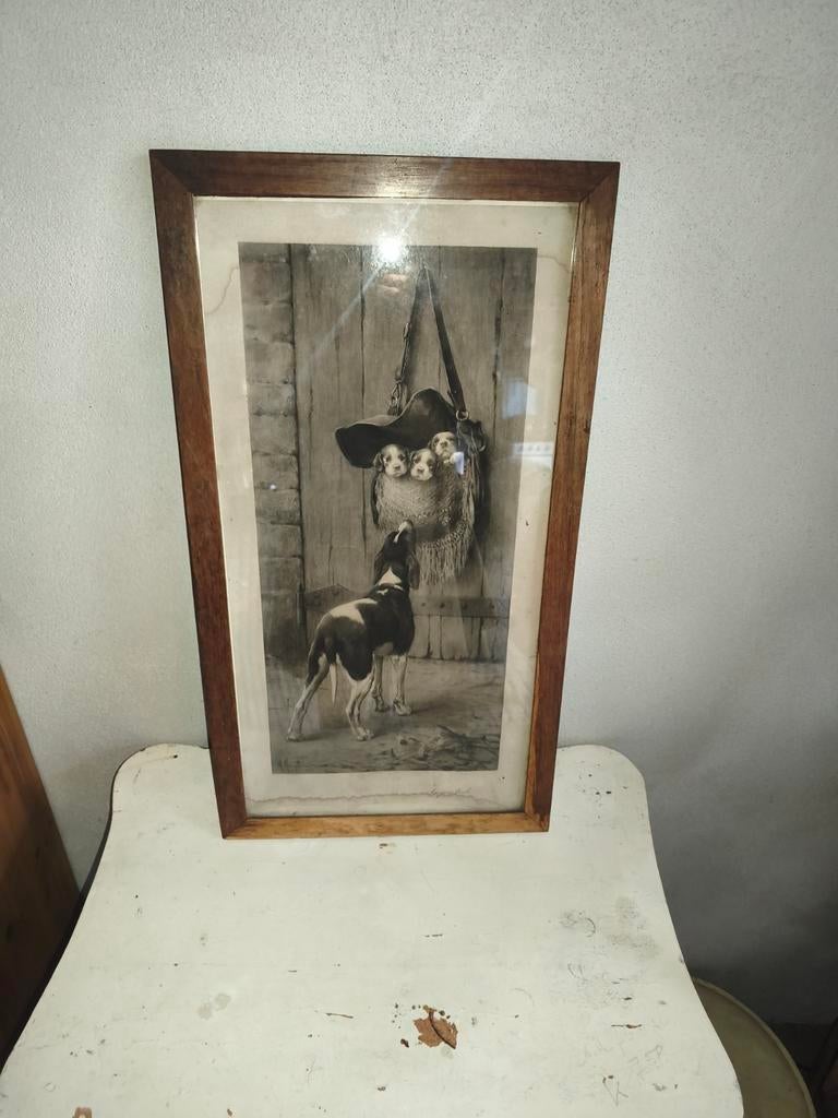Oude prent hond met pups * schapenweide, Antiek en Kunst, Curiosa en Brocante, Ophalen