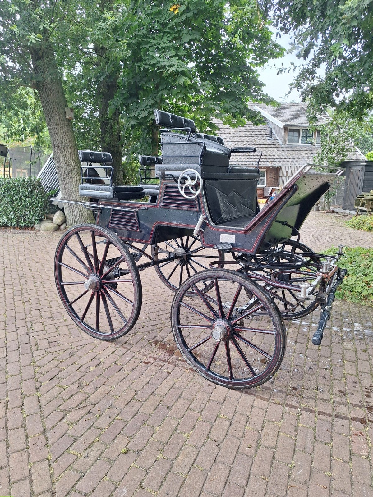 presentatiewagen  rijtuig 2 span 4 span, Dieren en Toebehoren, Rijtuigen en Koetsen, Gebruikt, Overige typen, Paard