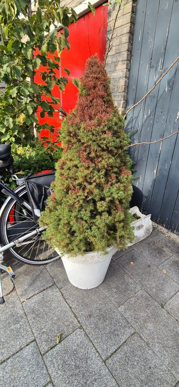 gratis, Ophalen of Verzenden