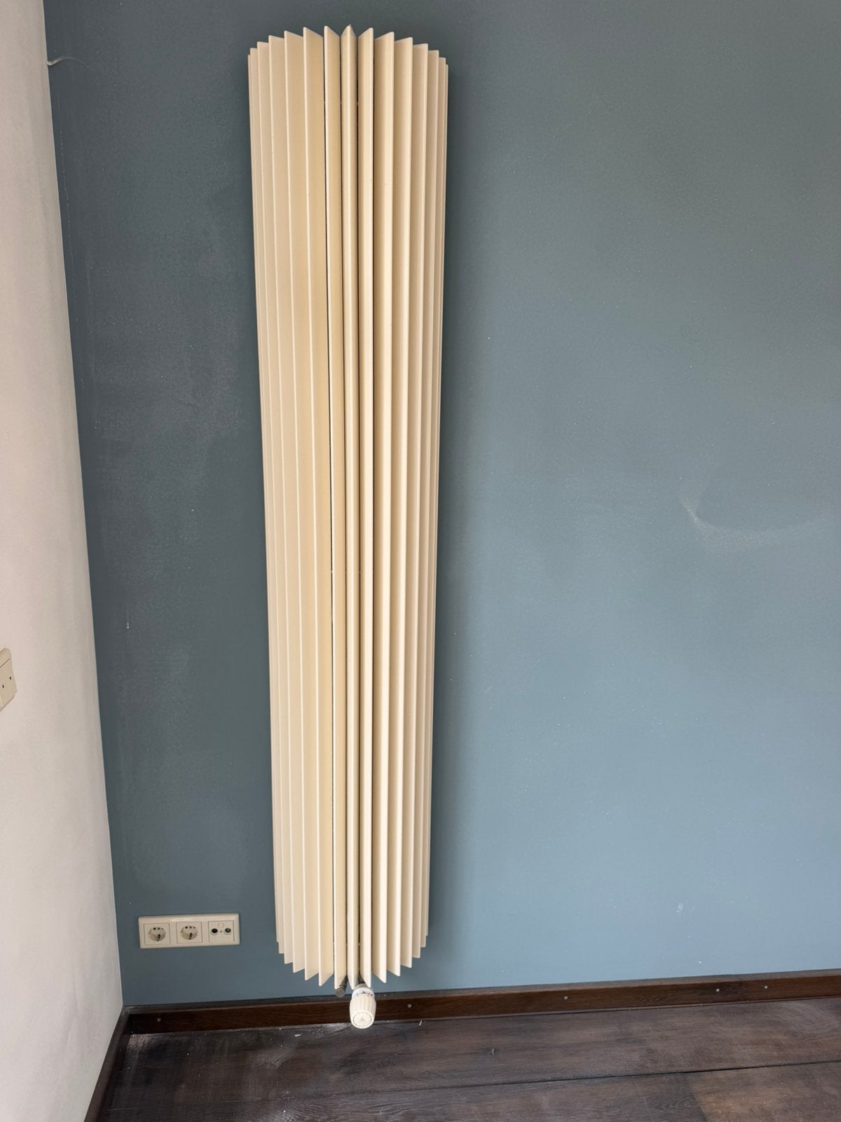 Jaga Iguana Circo 2 stuks, Doe-het-zelf en Verbouw, Verwarming en Radiatoren, Ophalen, Minder dan 60 cm, Radiator