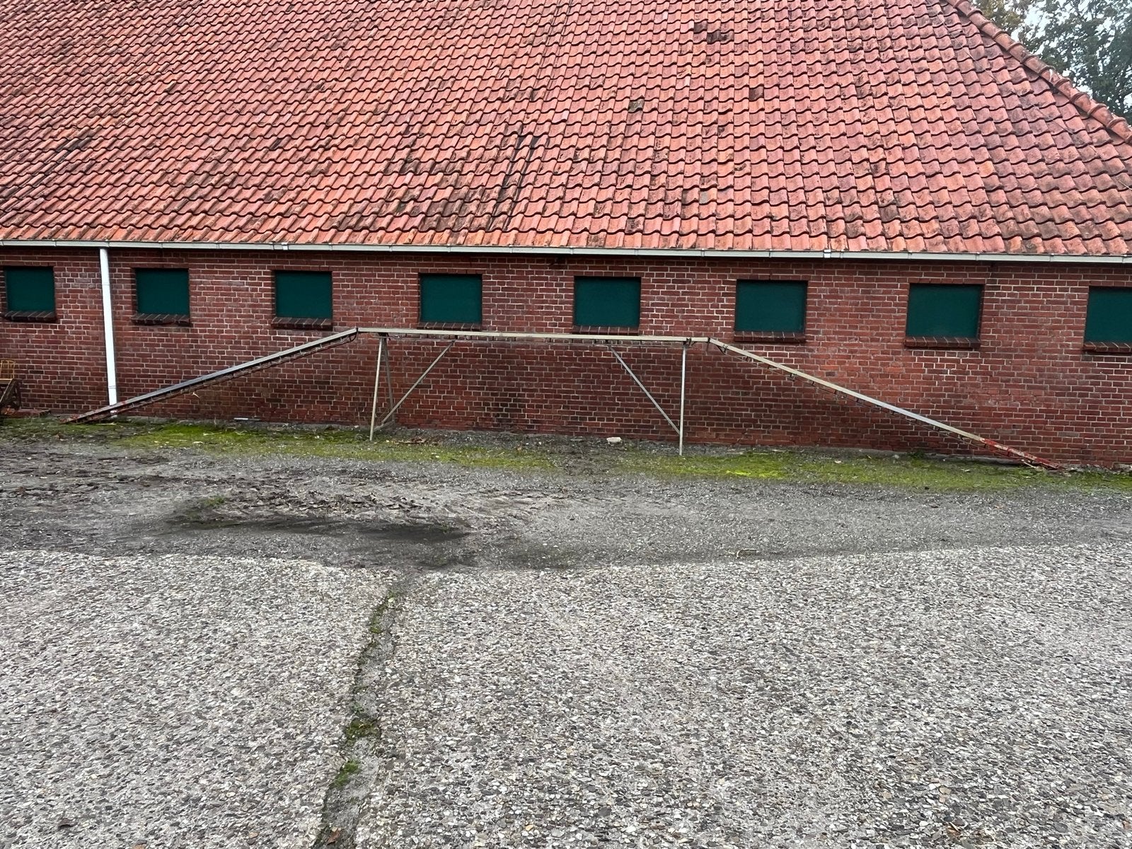 Katteloop  voor behendigheid , agility, Ophalen