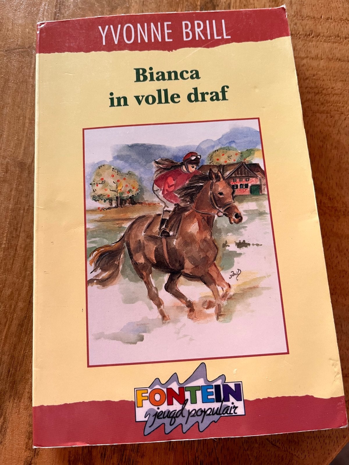 Bianca in volle draf, Boeken, Ophalen of Verzenden, Gelezen, Fictie