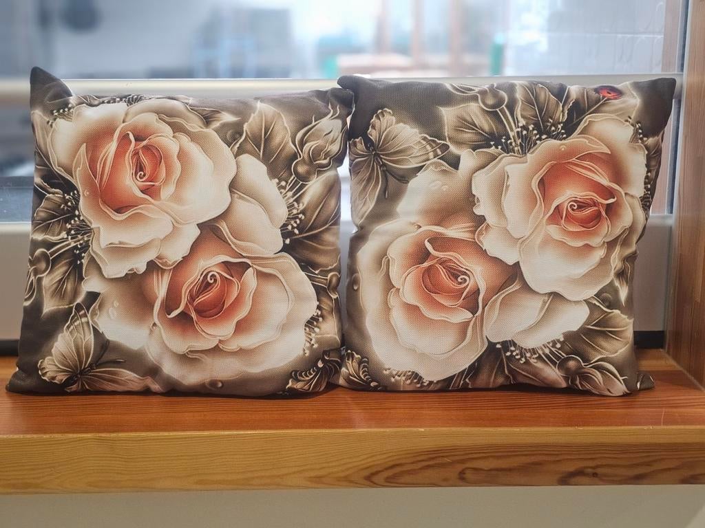 2 kussens bijna nieuw 45×45 centimeter, Minder dan 50 cm, Ophalen of Verzenden, Zo goed als nieuw, Schilderij