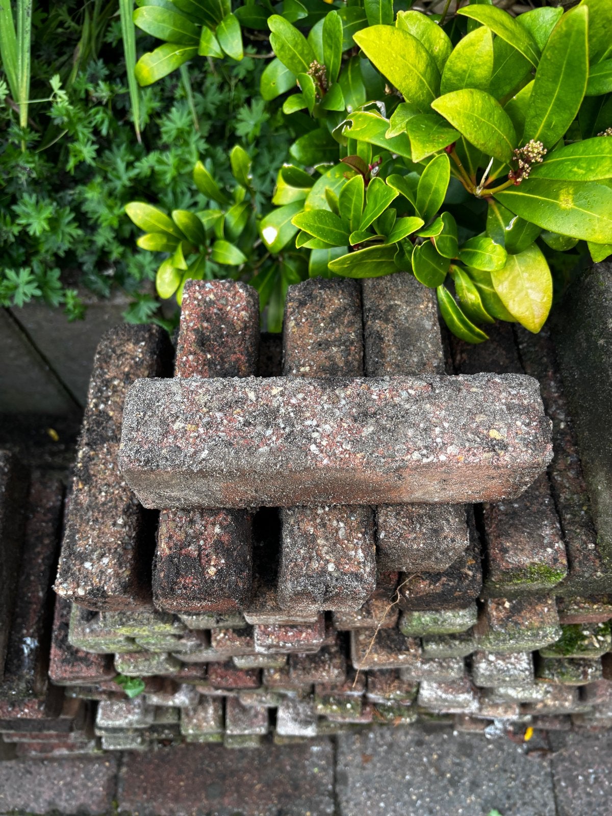 Gebruikte klassieke klinkers voor tuin of bestrating, Tuin en Terras, Ophalen of Verzenden, Gebruikt, Beton, Klinkers