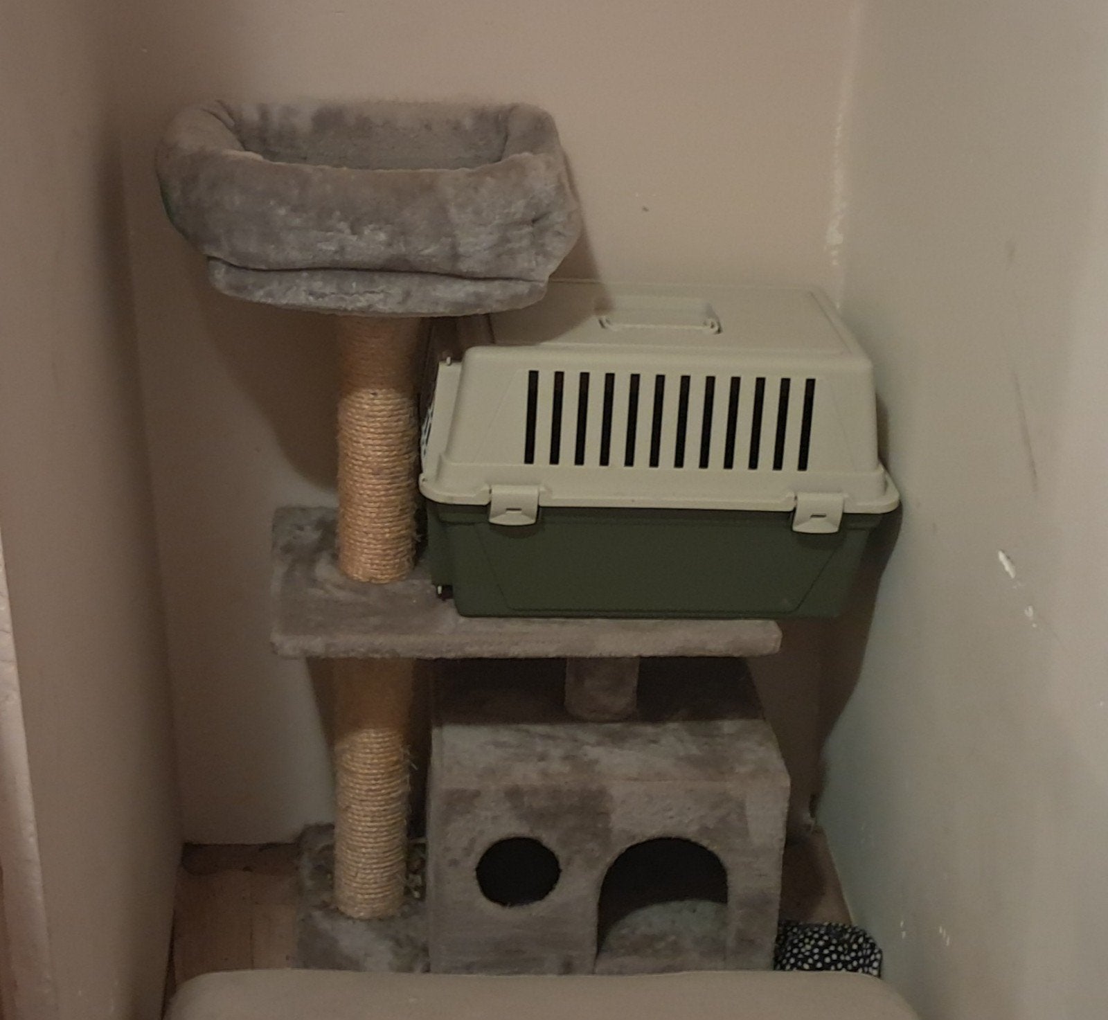 Krabpaal voor katten kleine transport korf, Ophalen