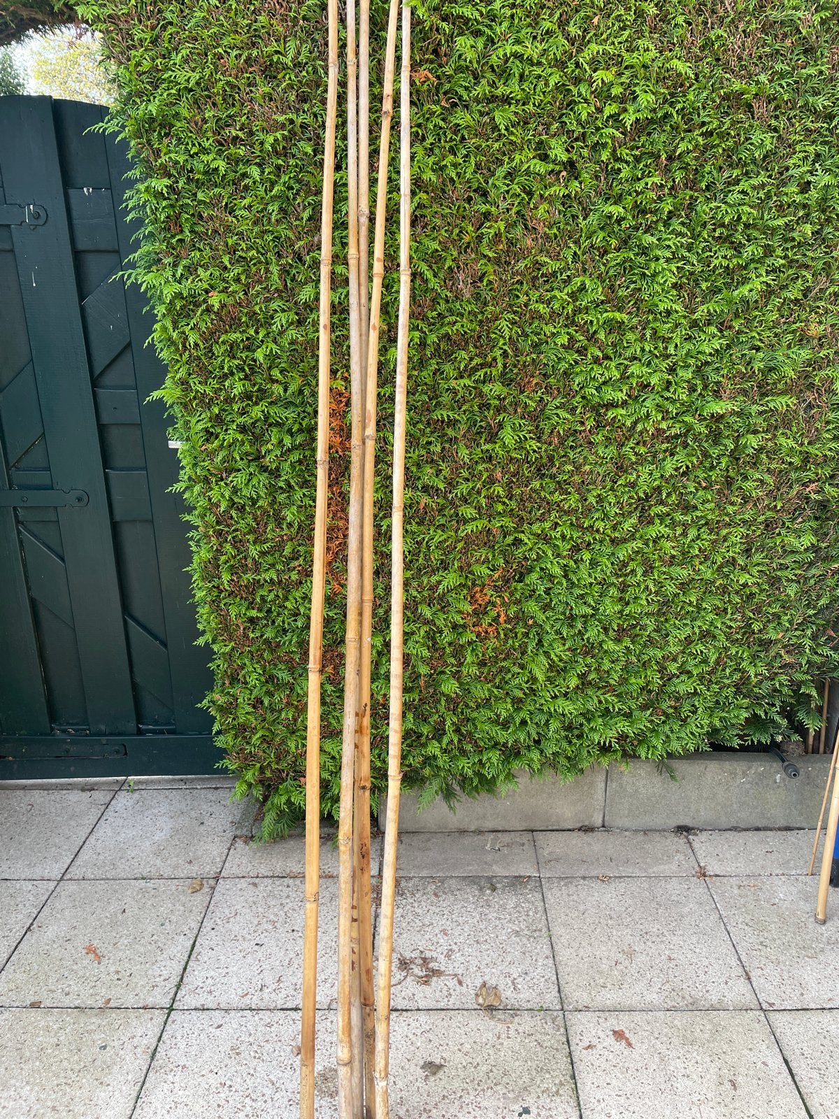 5 Bamboe stokken 2 meter lang, Ophalen, Gebruikt