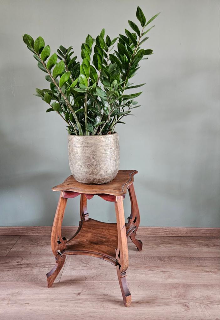 Houten vintage bijzettafel / plantentafel, laag model, Huis en Inrichting, Krukjes, Ophalen of Verzenden, Gebruikt, Hout