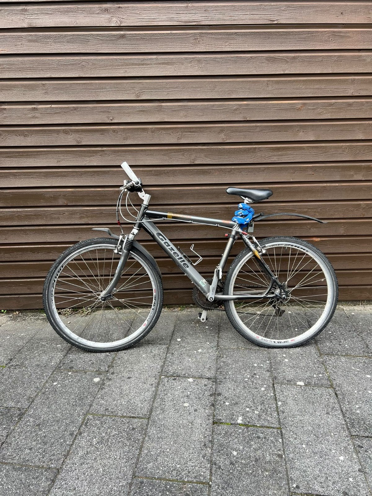 Gazelle Torrente Mountainbike, Ophalen, Gebruikt, 26 inch, Velgrem