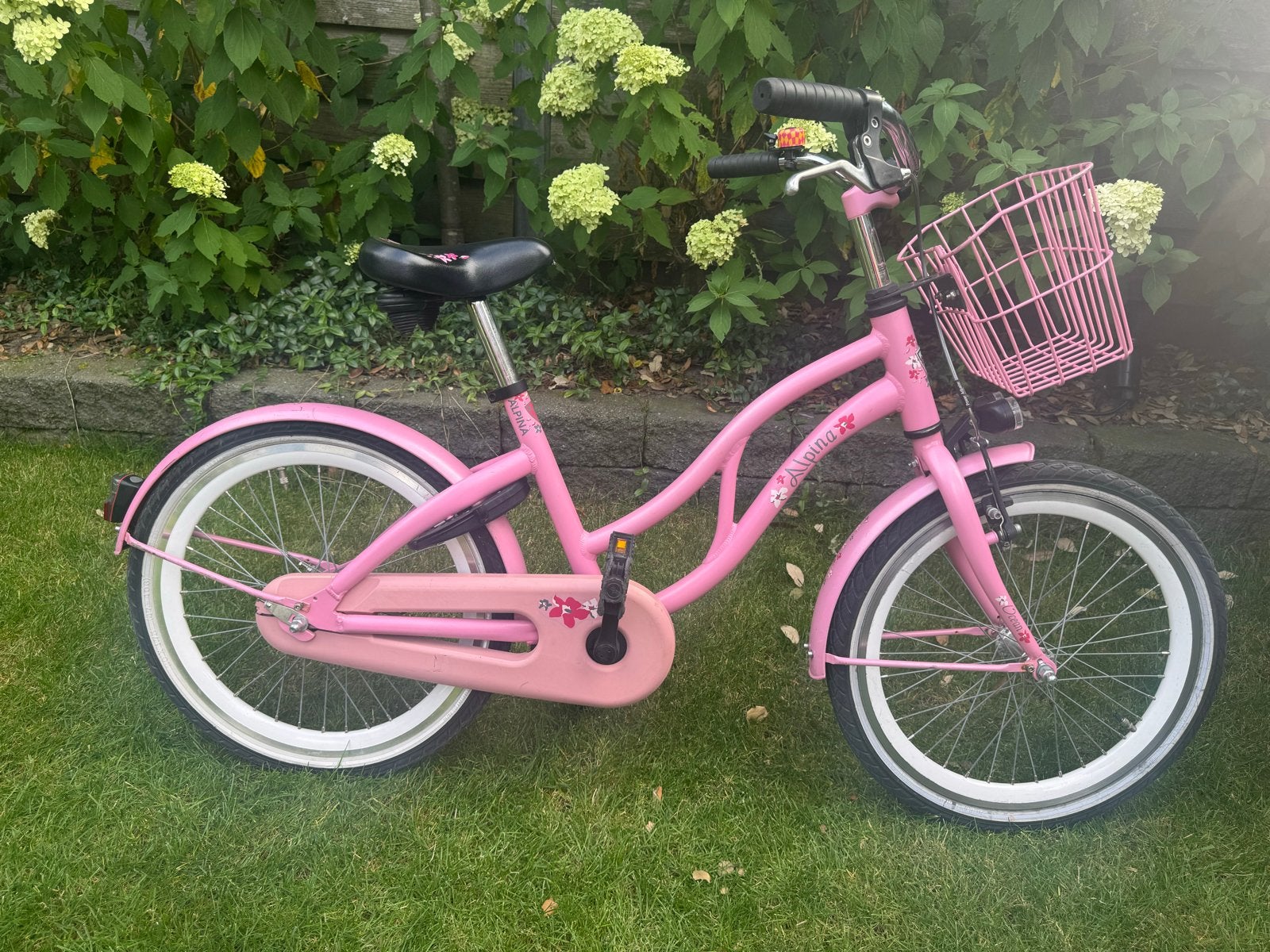 Alpina ocean kinderfiets 20 inch roze met mandje, Fietsen en Brommers, Fietsen | Meisjes, Ophalen, Terugtraprem, Gebruikt, Handrem
