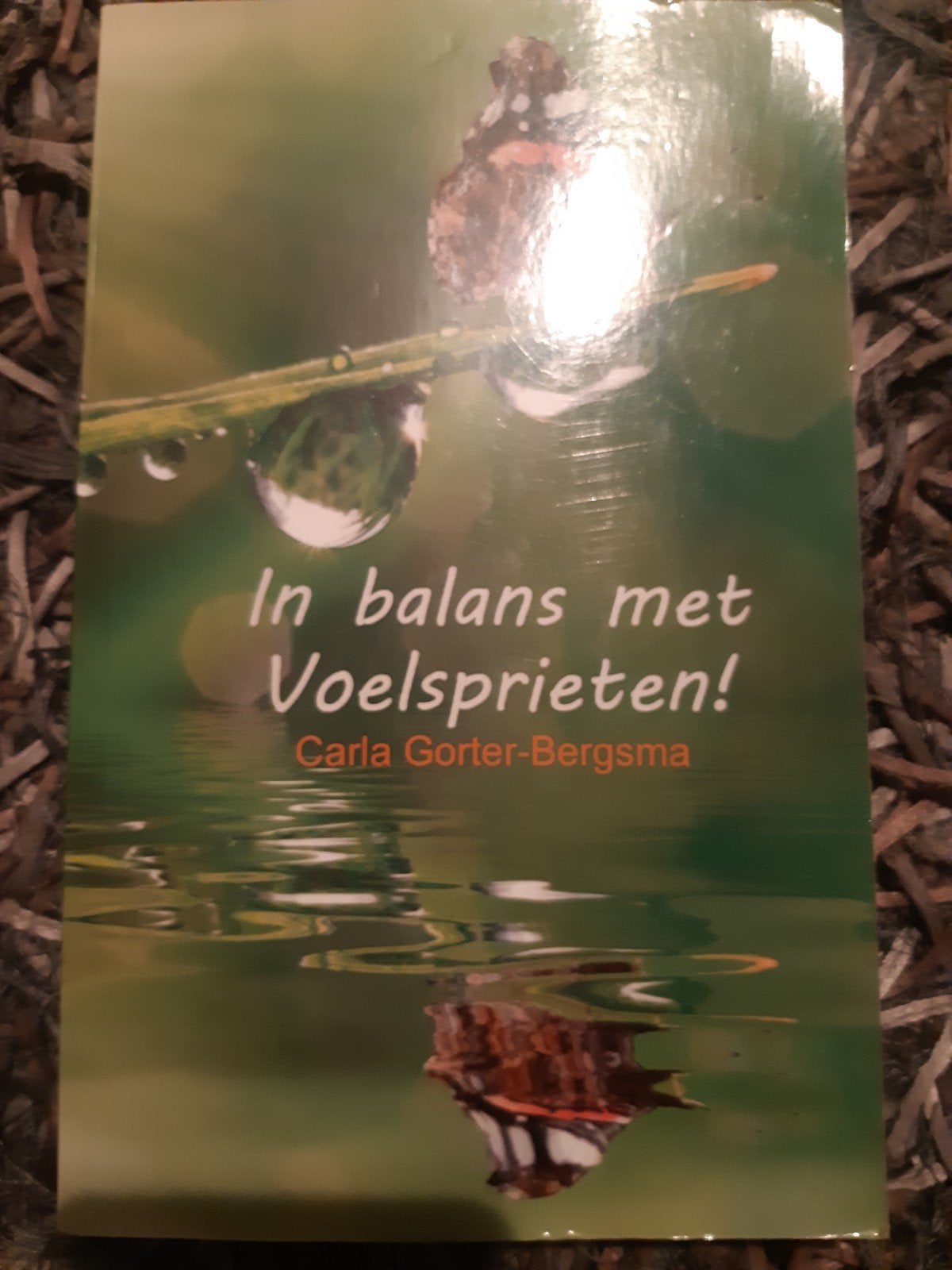 In balans met voelsprieten, Ophalen of Verzenden, Zo goed als nieuw, Spiritualiteit algemeen, Overige typen