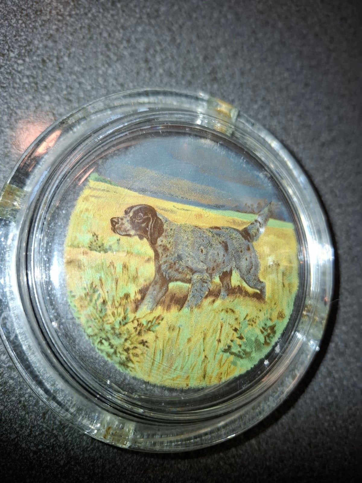 asbak van glas is van engelse setter, Verzamelen, Ophalen, Zo goed als nieuw, Frisdrankglas
