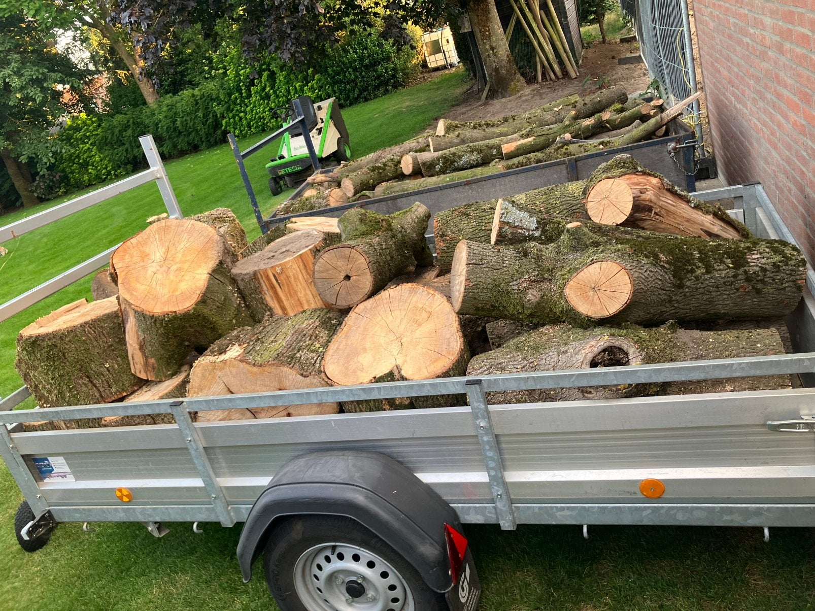 Essen op stam. Droog, Tuin en Terras, Haardhout, 3 tot 6 m³, Ophalen, Essenhout, Blokken