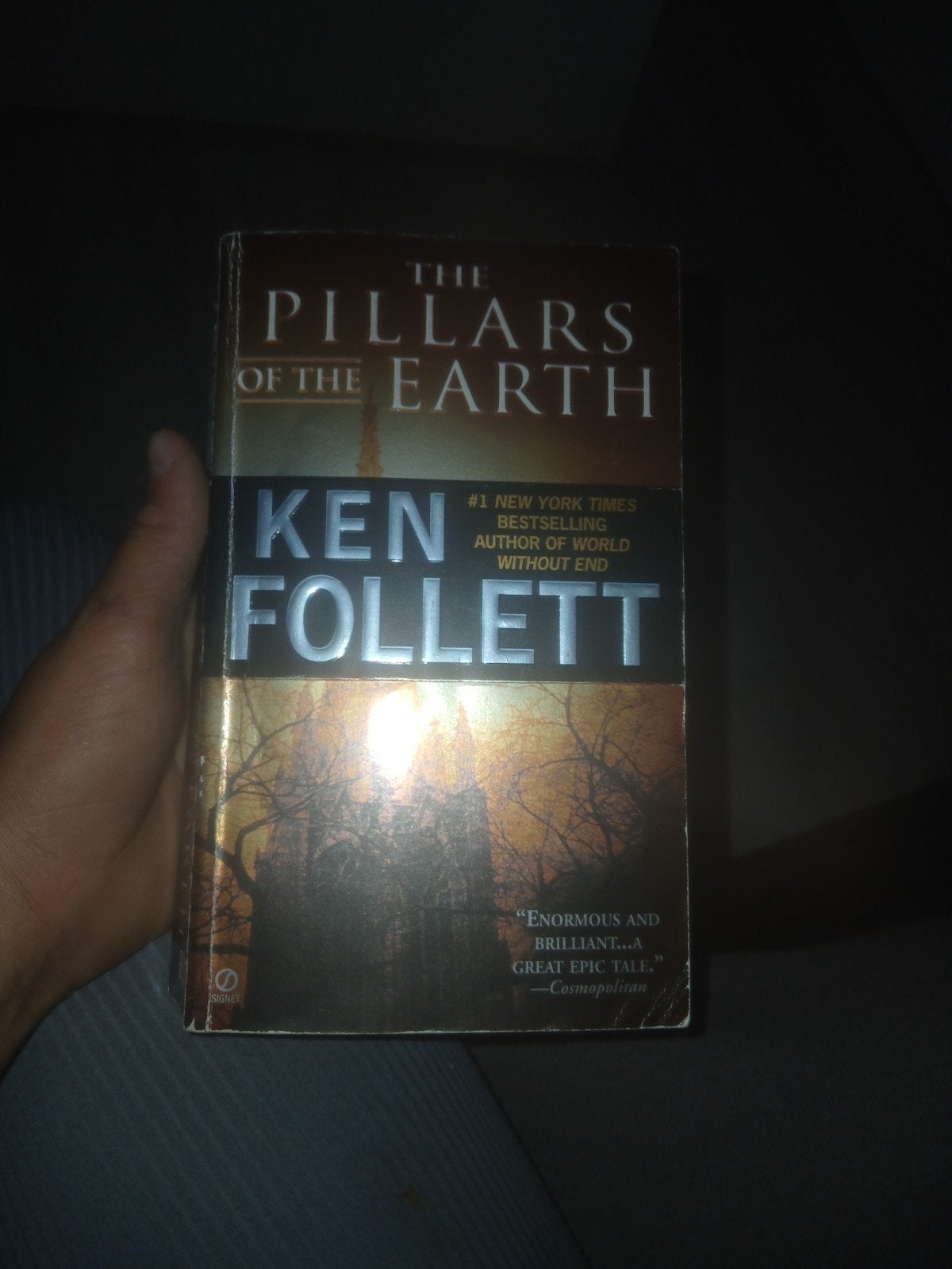 The Pillars of the Earth - Ken Follett (Paperback), Ophalen of Verzenden, Gelezen, Ken Follett