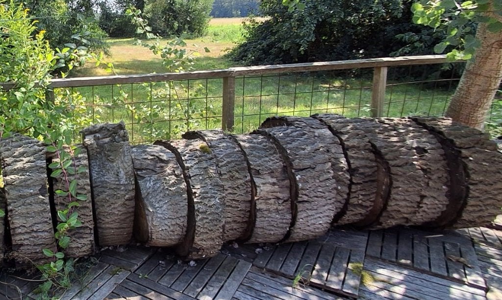 kloofhout groot, Ophalen, Zo goed als nieuw