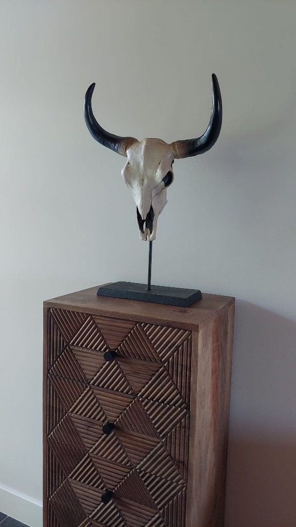 Skull - groot - Buffelschedel - Schedel - Gewei op voet 61cm, Ophalen, Zo goed als nieuw, Beige, Overige materialen