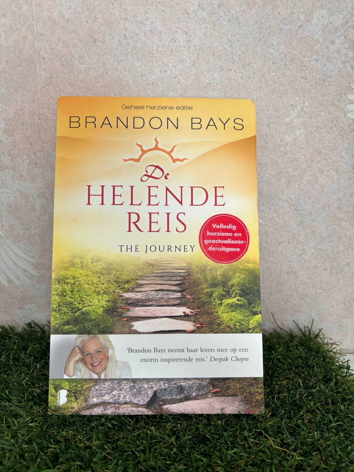 De Helende Reis - Brandon Bays (Geheel herziene editie), Boeken, Ophalen of Verzenden, Zo goed als nieuw, Spiritualiteit algemeen