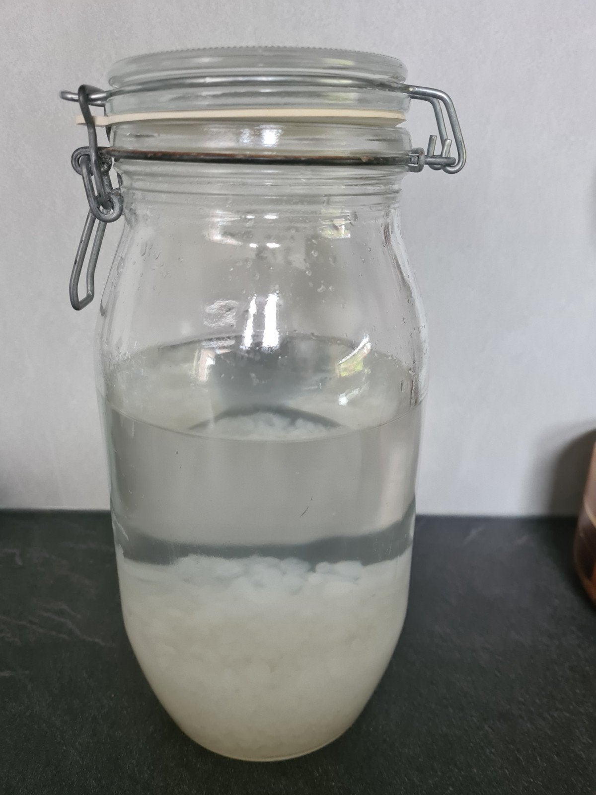 Waterkefir korrels, Ophalen