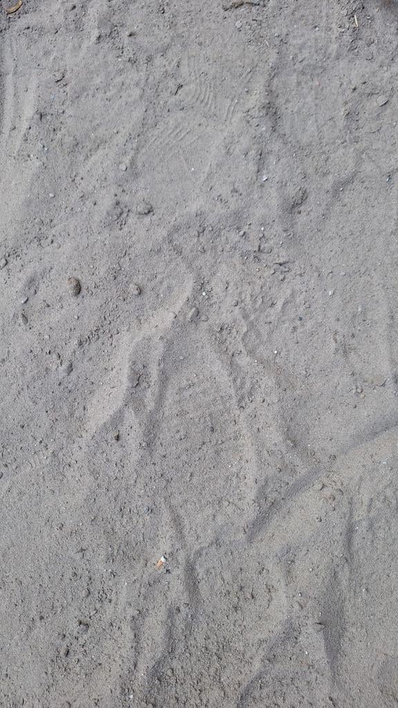 Wit zand / straatzand +/- 6 kruiwagens, Tuin en Terras, Zand, Ophalen