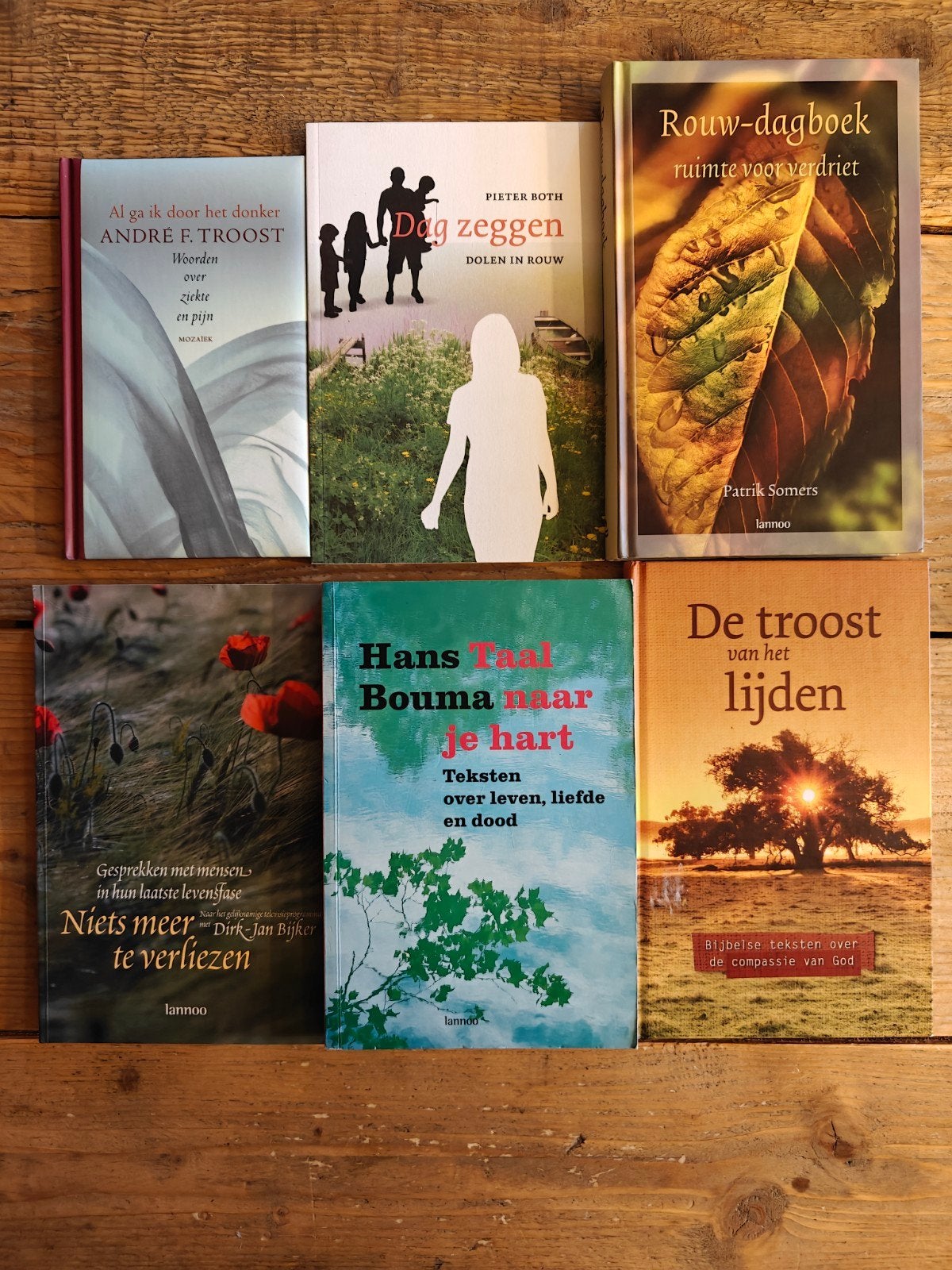 6 Boeken over rouw, pijn en verdriet., Ophalen of Verzenden