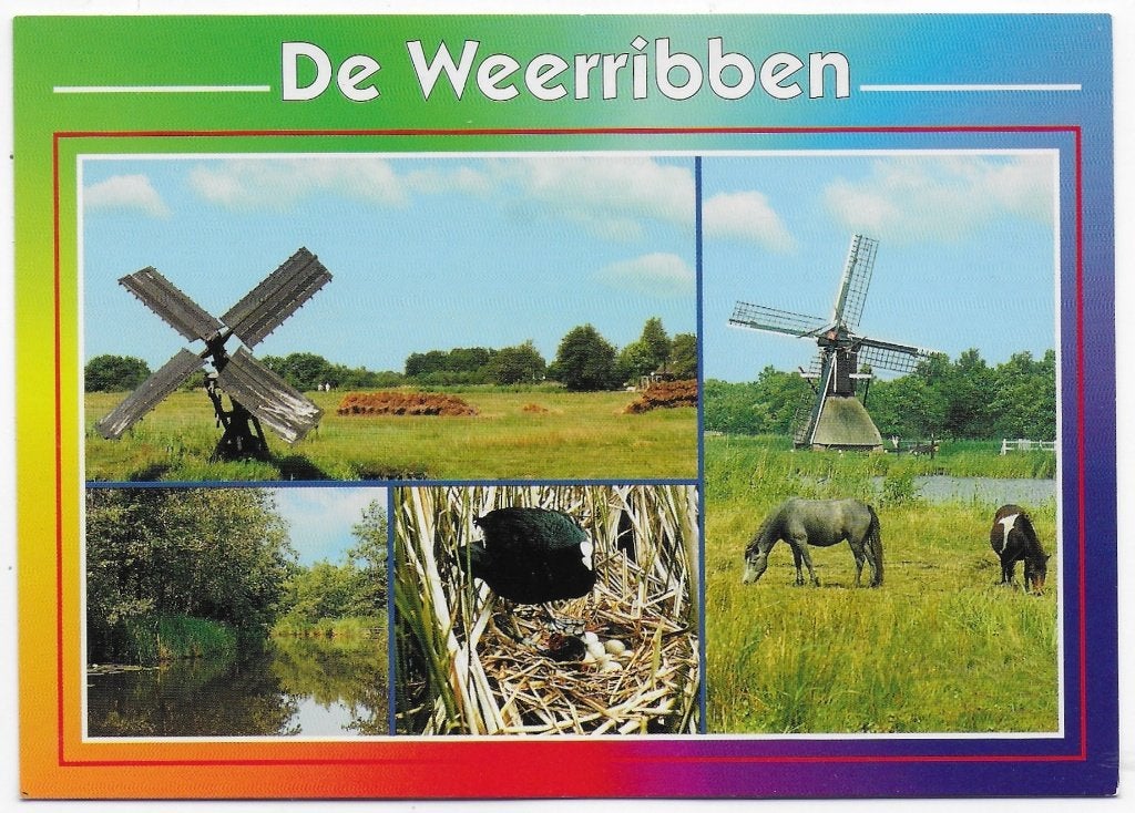 De weerribben Ongelopen Ansichtkaart (B2394, Ophalen of Verzenden, 1980 tot heden, Ongelopen